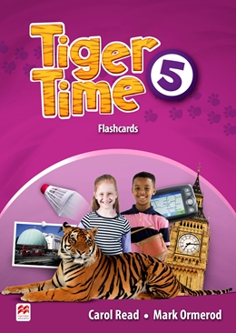 TIGER TIME 5 FLASHCARDS*