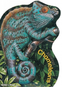 MISUNDERSTOOD CHAMELEONS