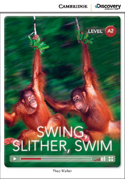 CDE 3 SWING, SLITHER, SWIM +ONLINE CODE*